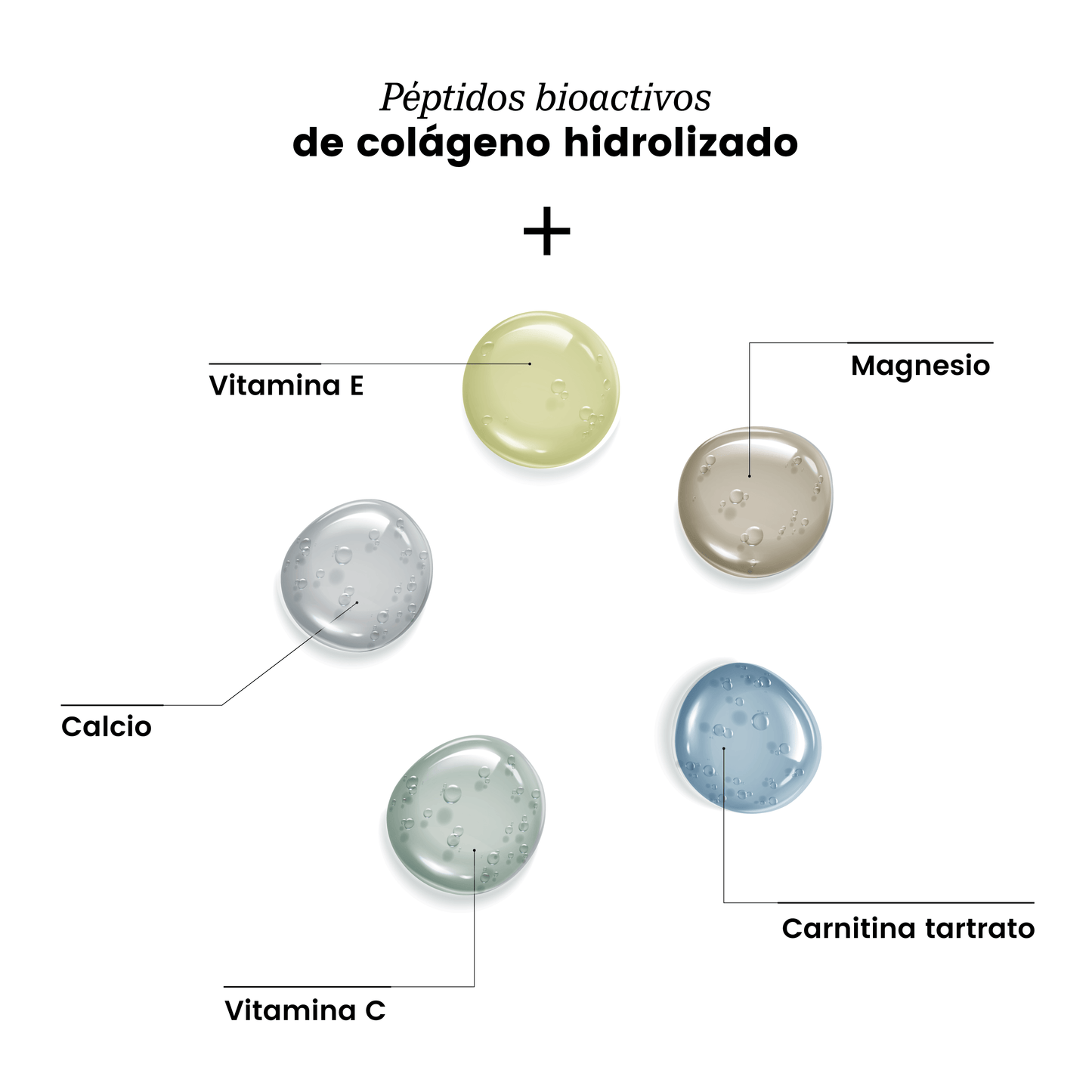 Siette Sport | Péptidos Bioactivos de Colágeno Hidrolizado - Caja con 28 sachets de 14 g c/u