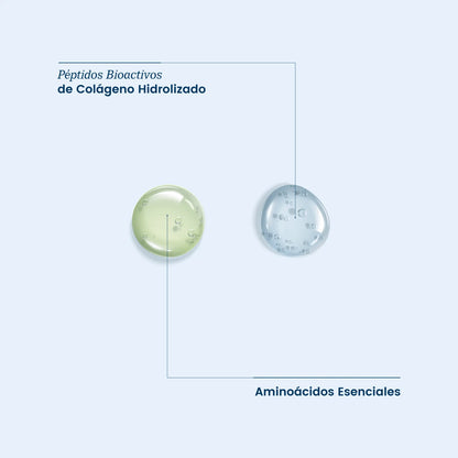 Siette Pure | Péptidos Bioactivos de Colágeno Hidrolizado - Paquete Sachets - Siette